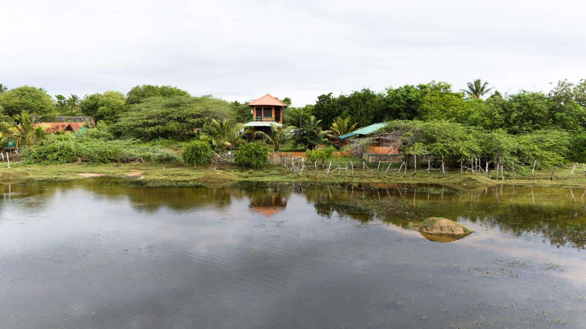 Bundala Flamingo Cotteges Hotel Hambantota Exterior photo